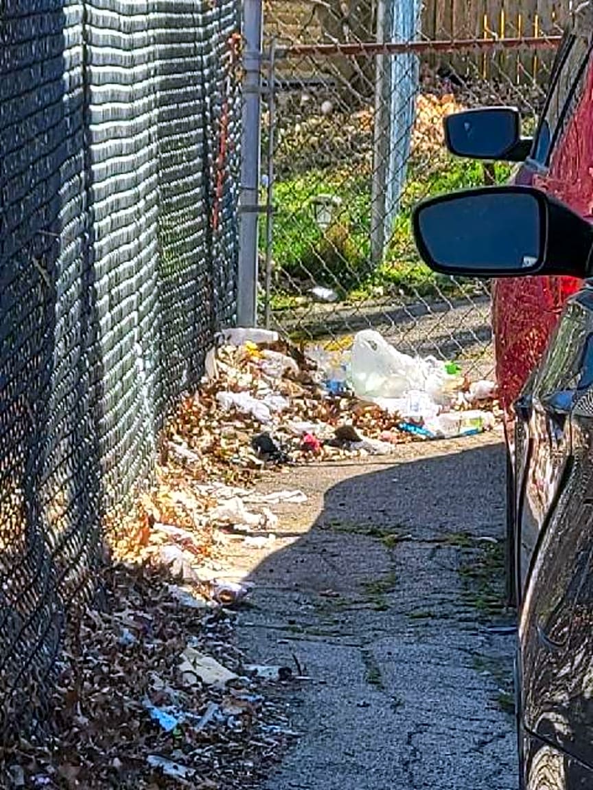 Image submitted with report