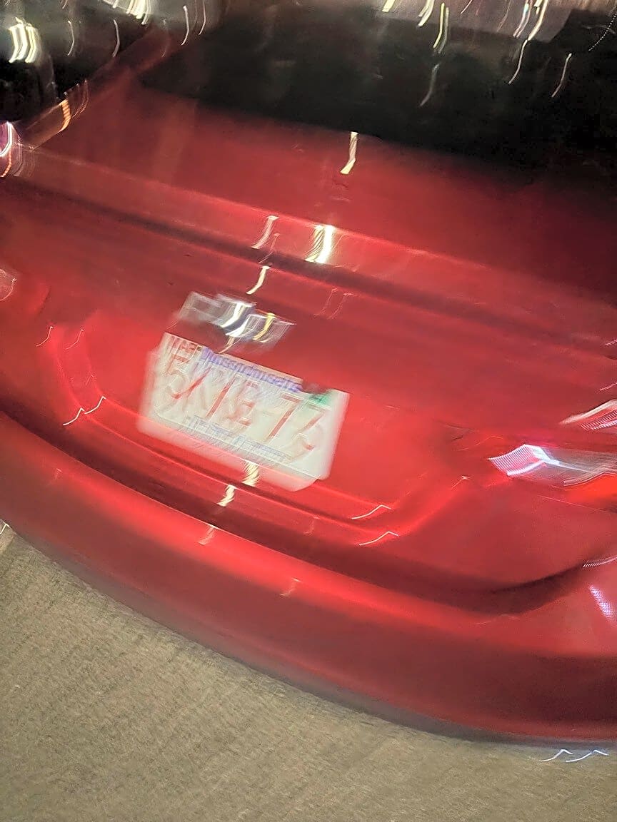 Image submitted with report