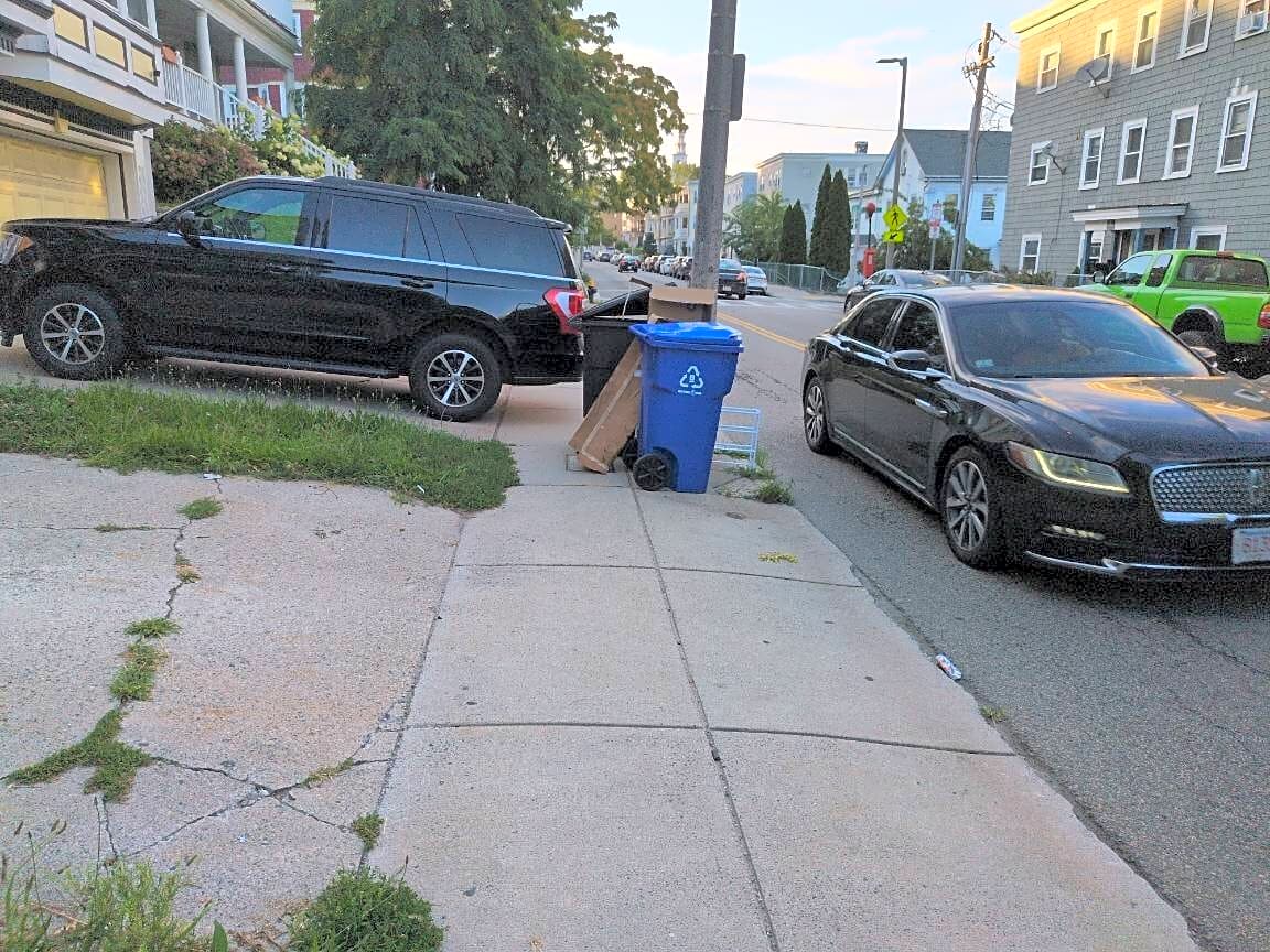 Image submitted with report