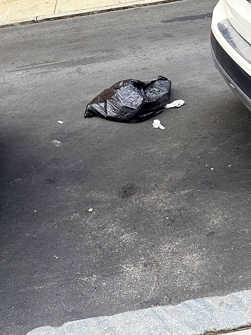 Image submitted with report