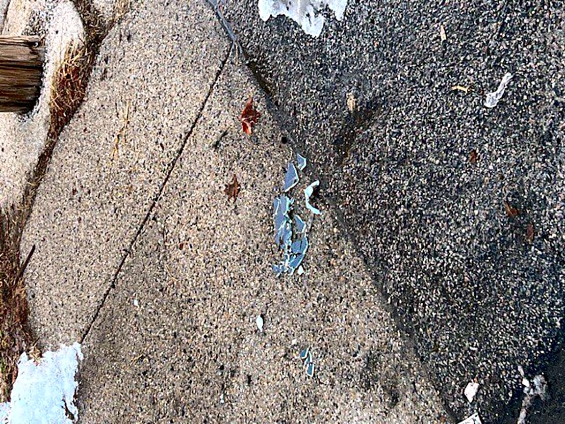 Image submitted with report