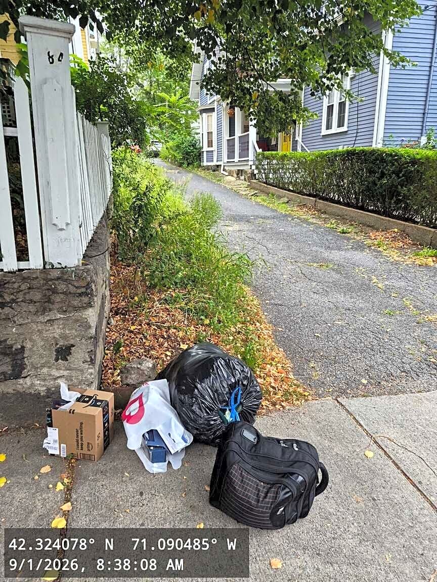 Image submitted with report