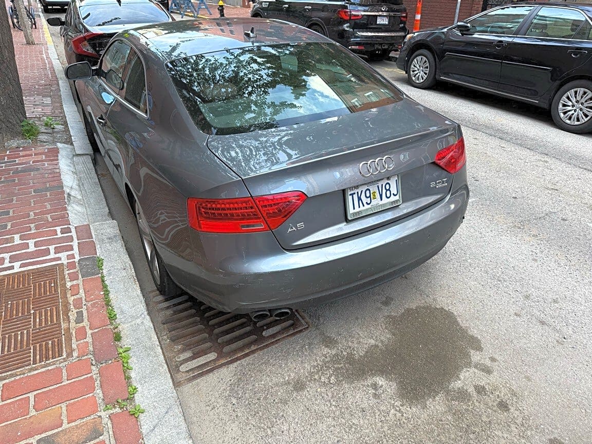 Image submitted with report