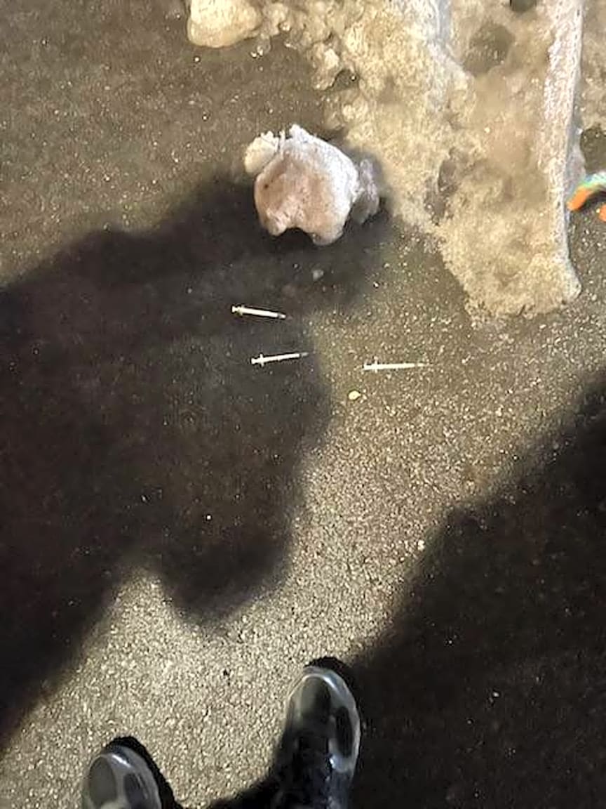 Image submitted with report