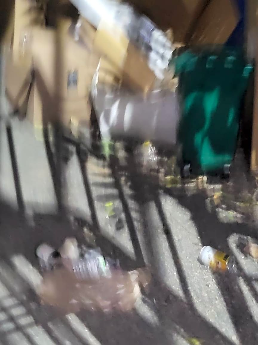 Image submitted with report
