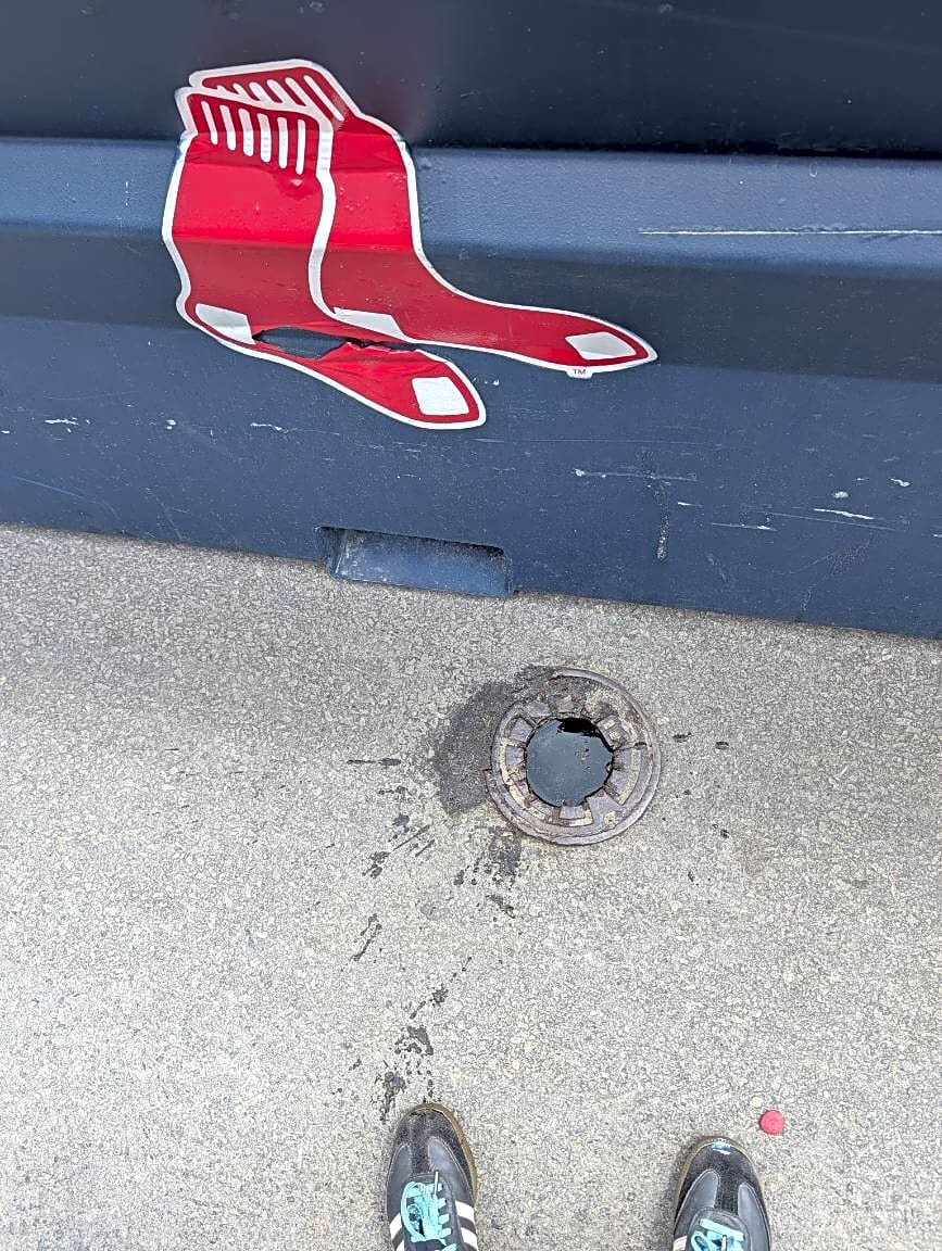 Image submitted with report