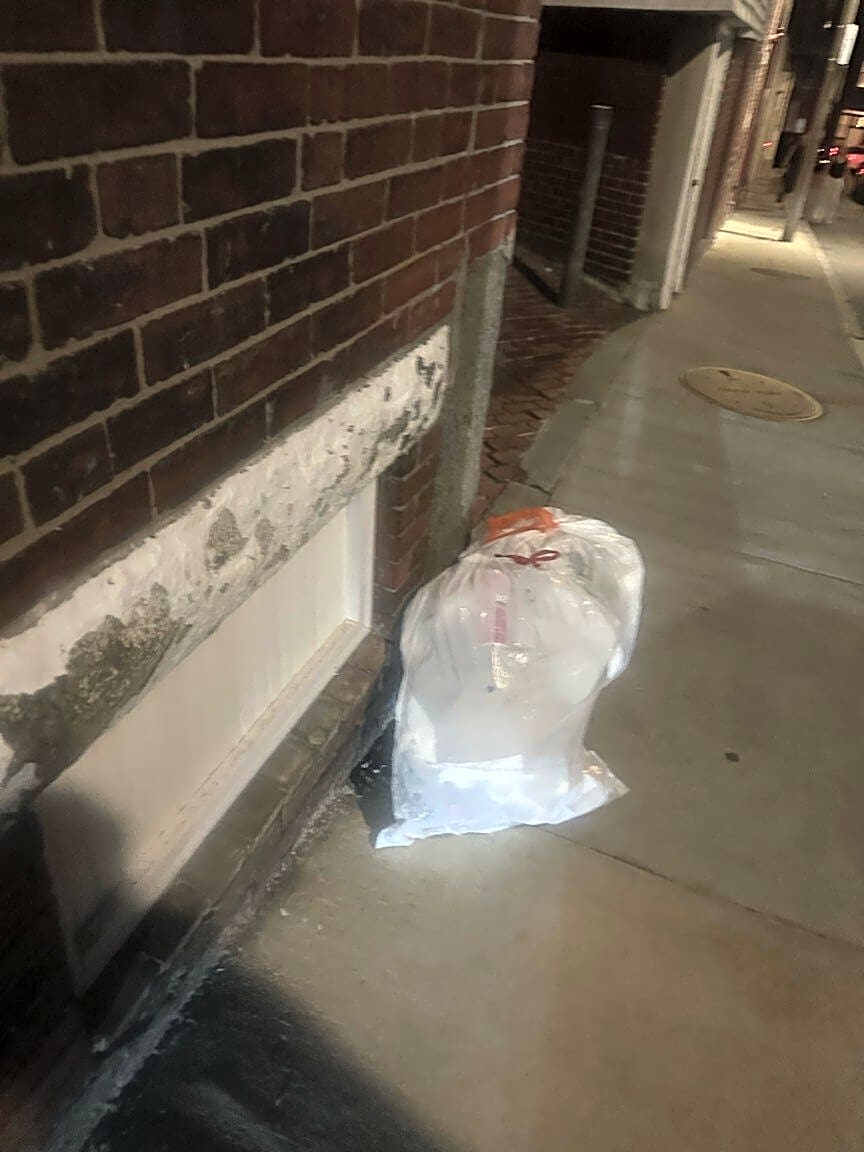 Image submitted with report