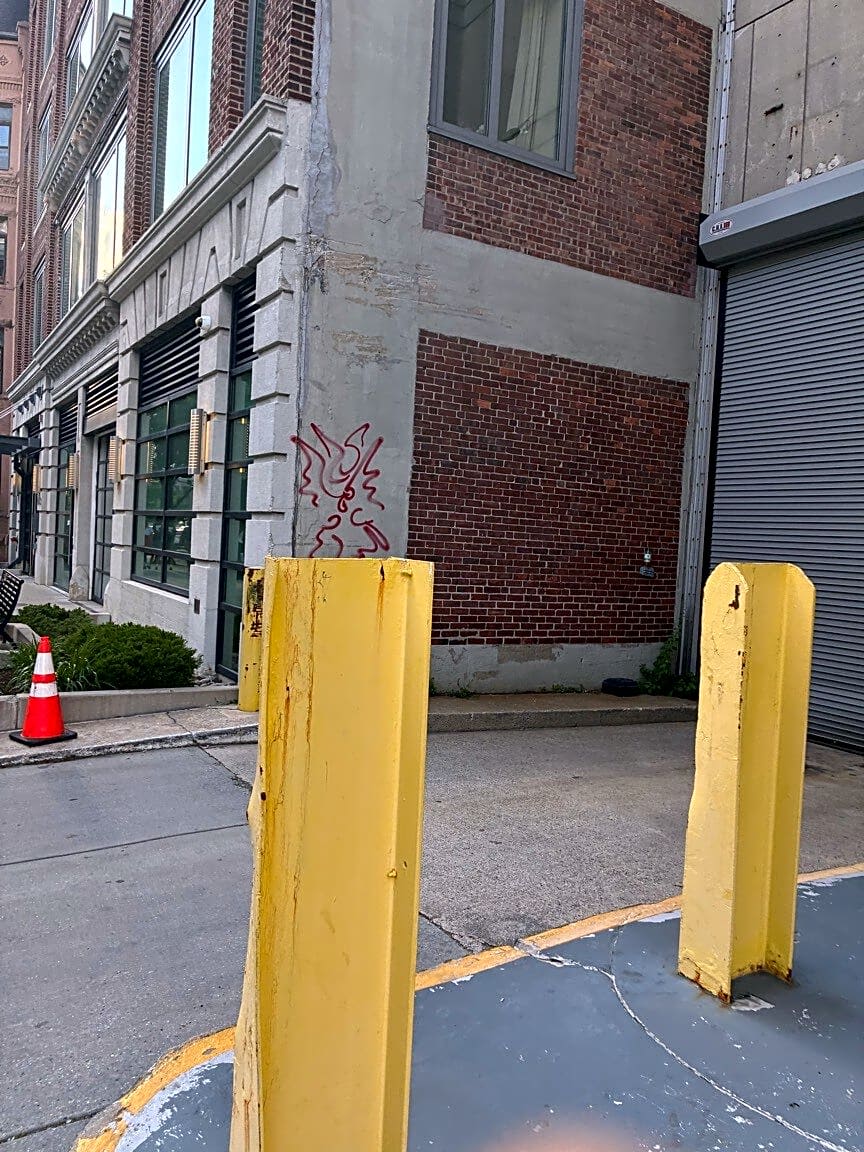Image submitted with report