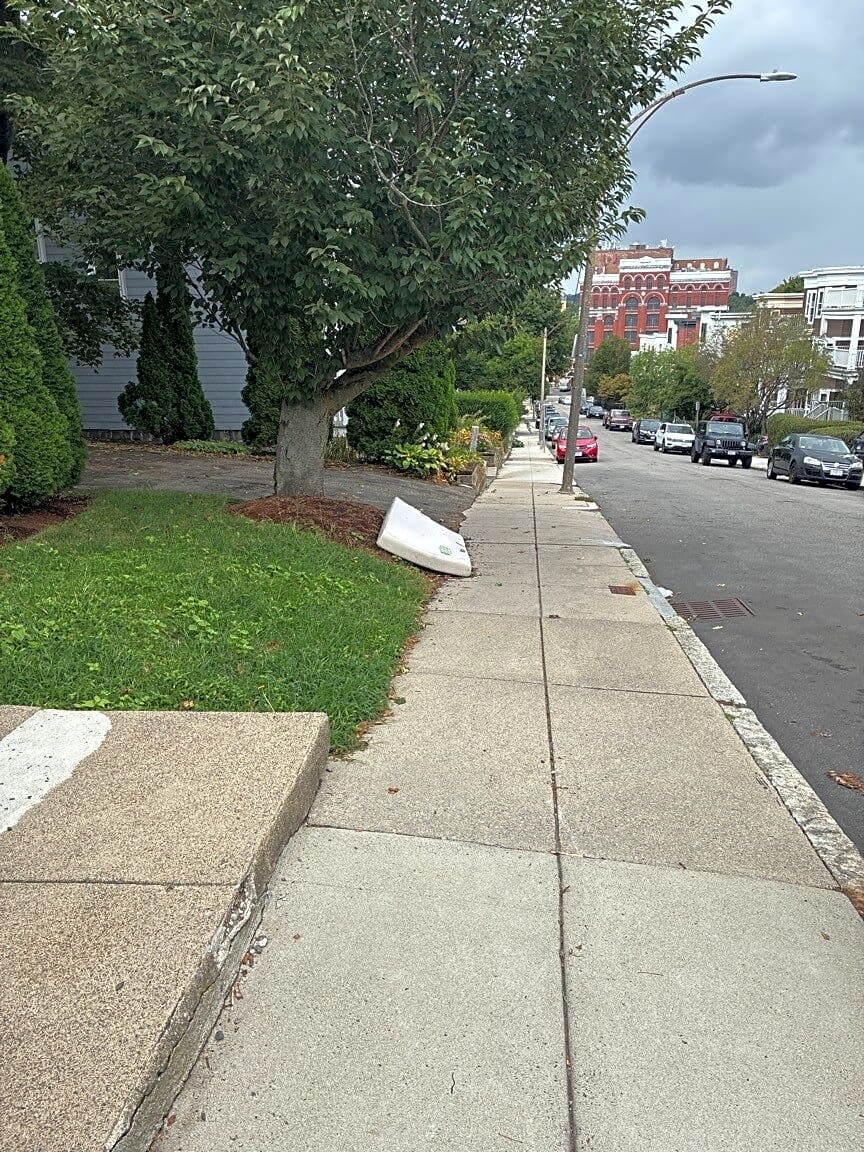 Image submitted with report