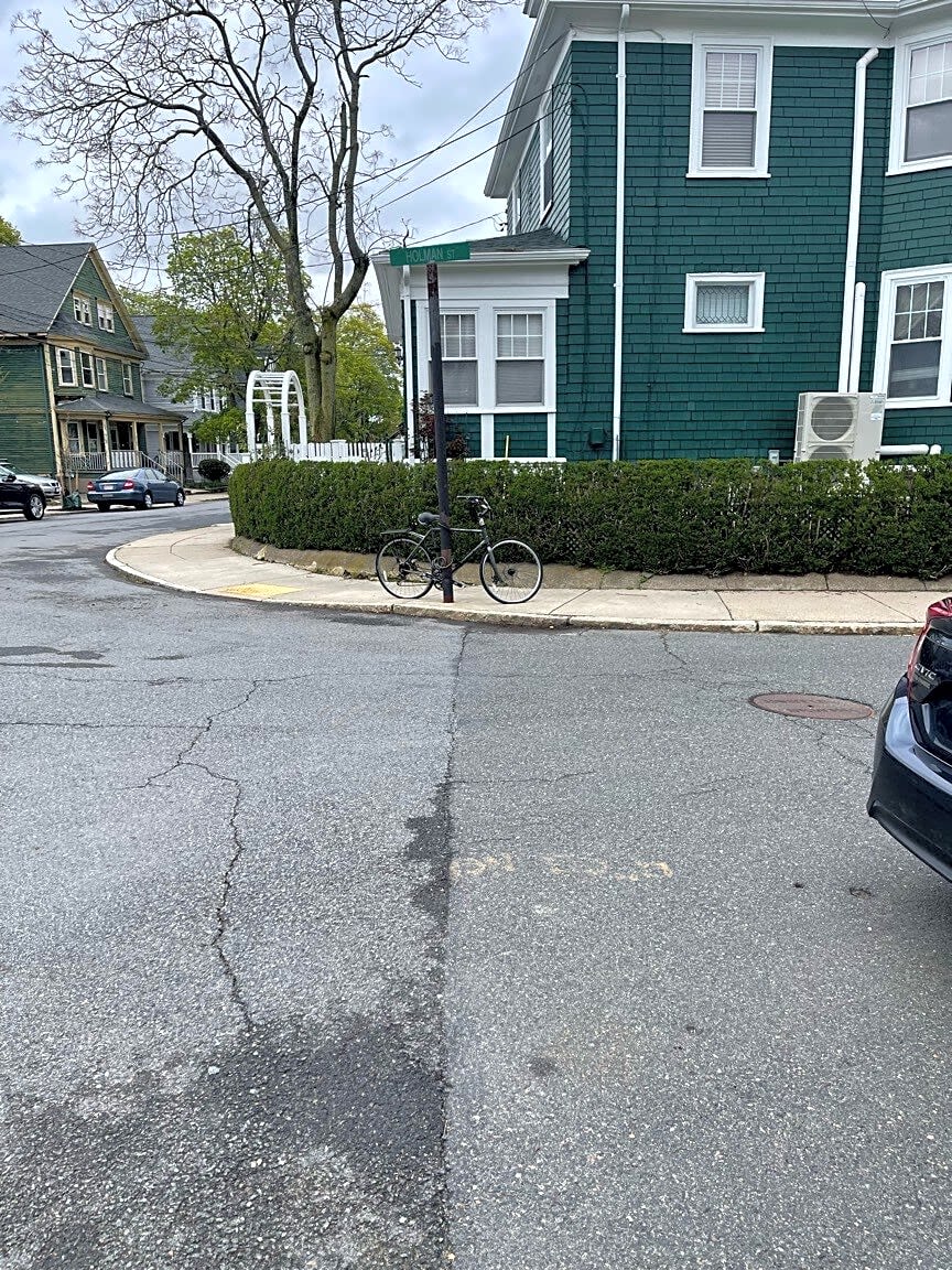 Image submitted with report