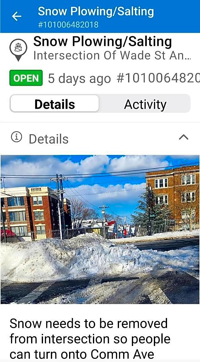 Image submitted with report