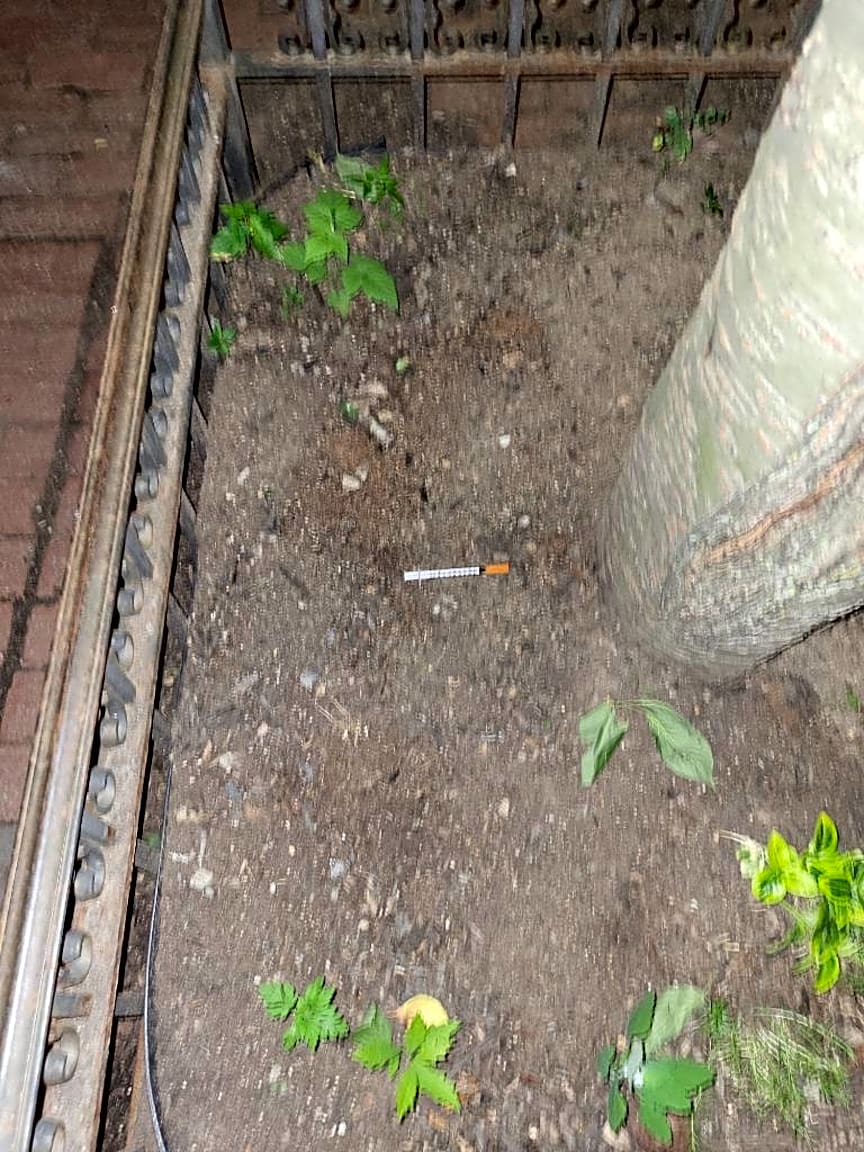 Image submitted with report