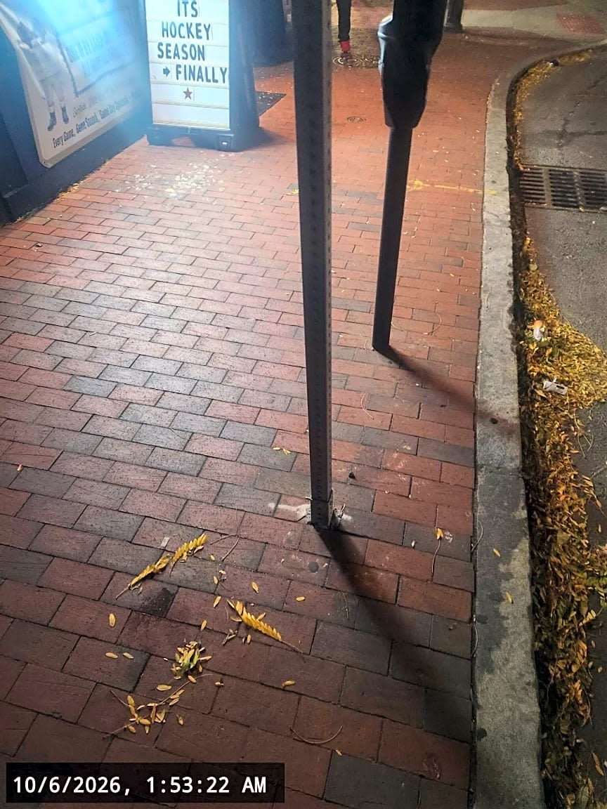 Image submitted with report