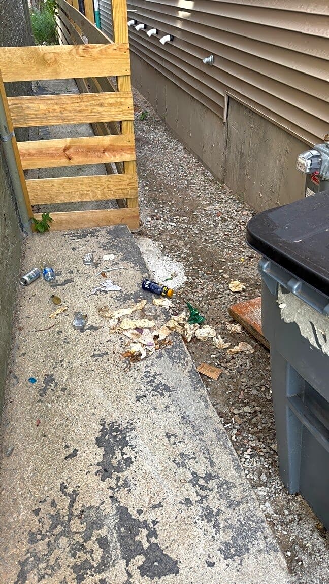Image submitted with report