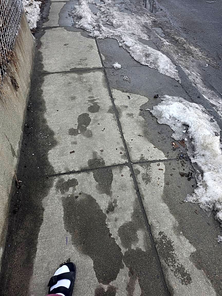 Image submitted with report