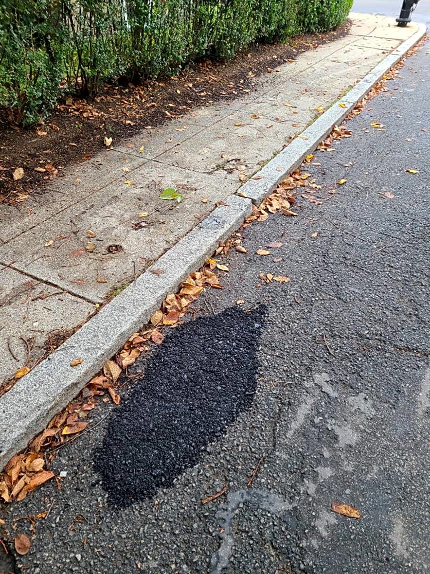 Image submitted with report