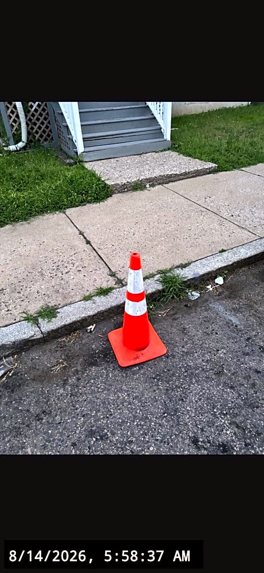 Image submitted with report