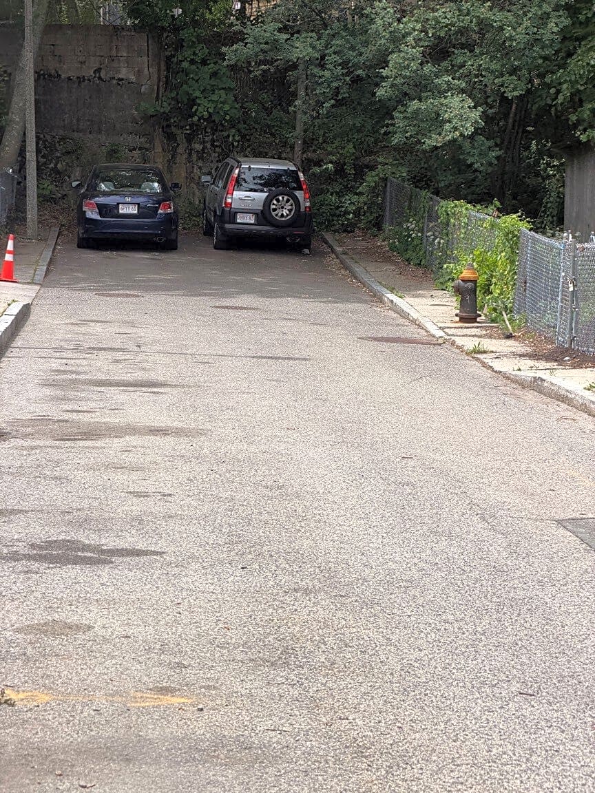Image submitted with report