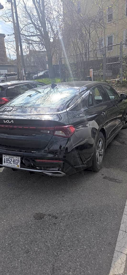 Image submitted with report