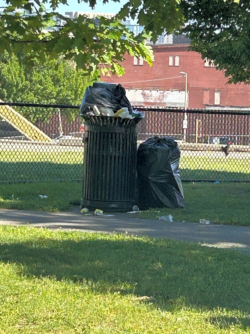 Image submitted with report