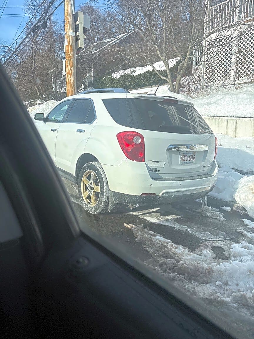 Image submitted with report