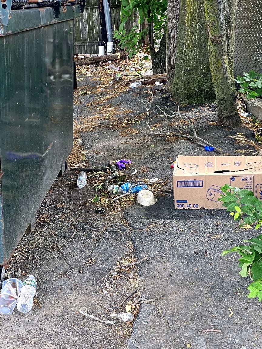 Image submitted with report