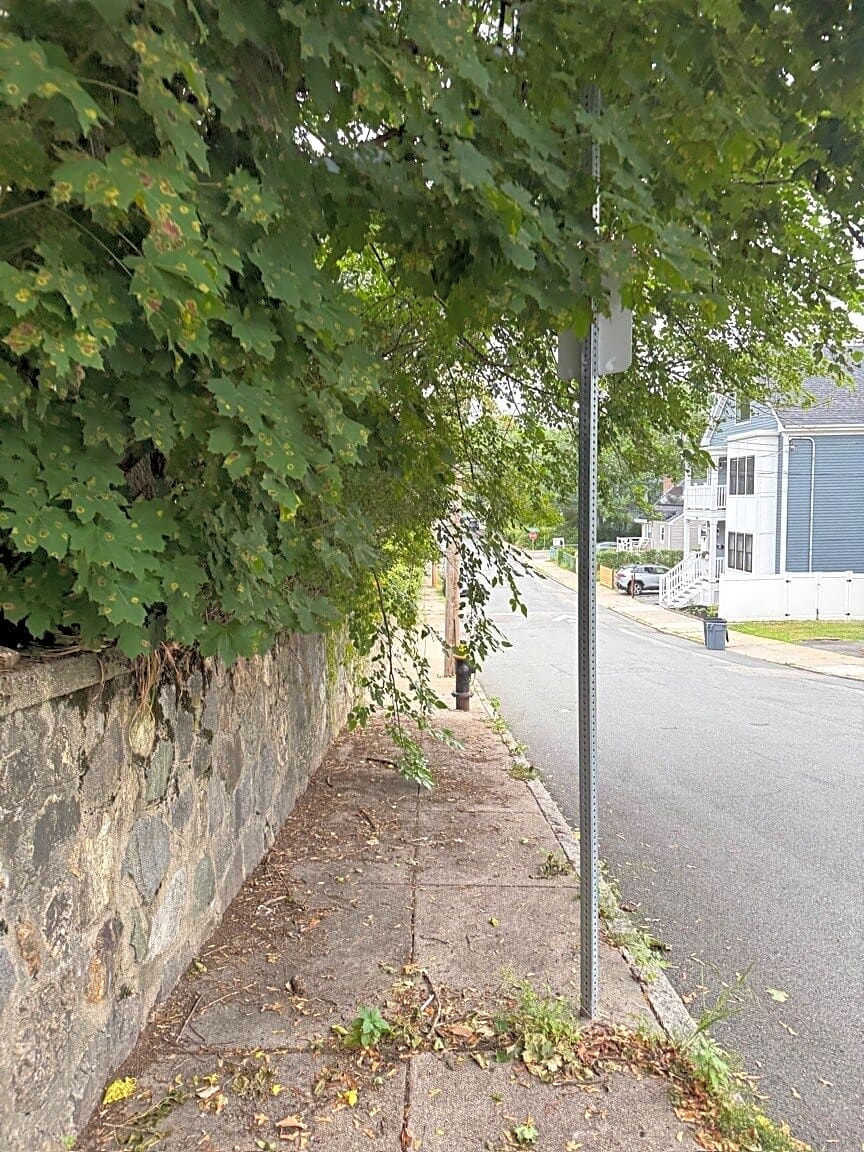 Image submitted with report