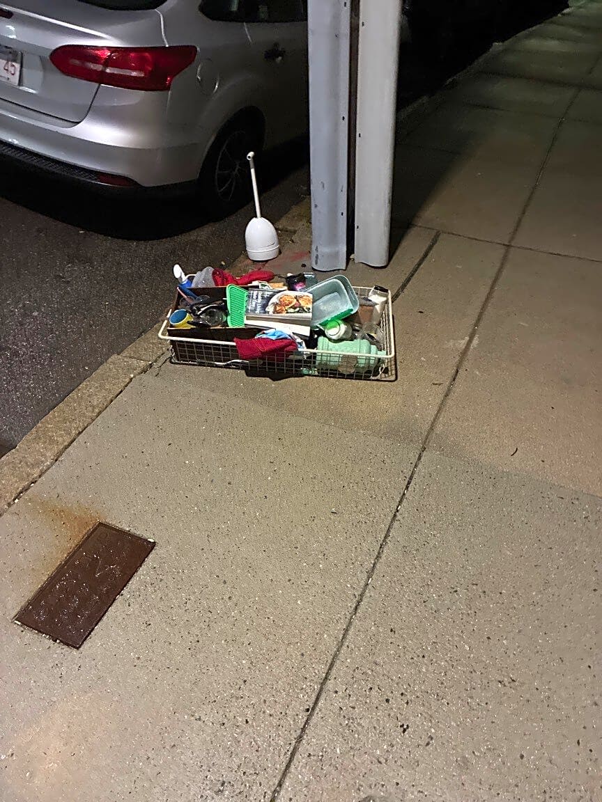 Image submitted with report