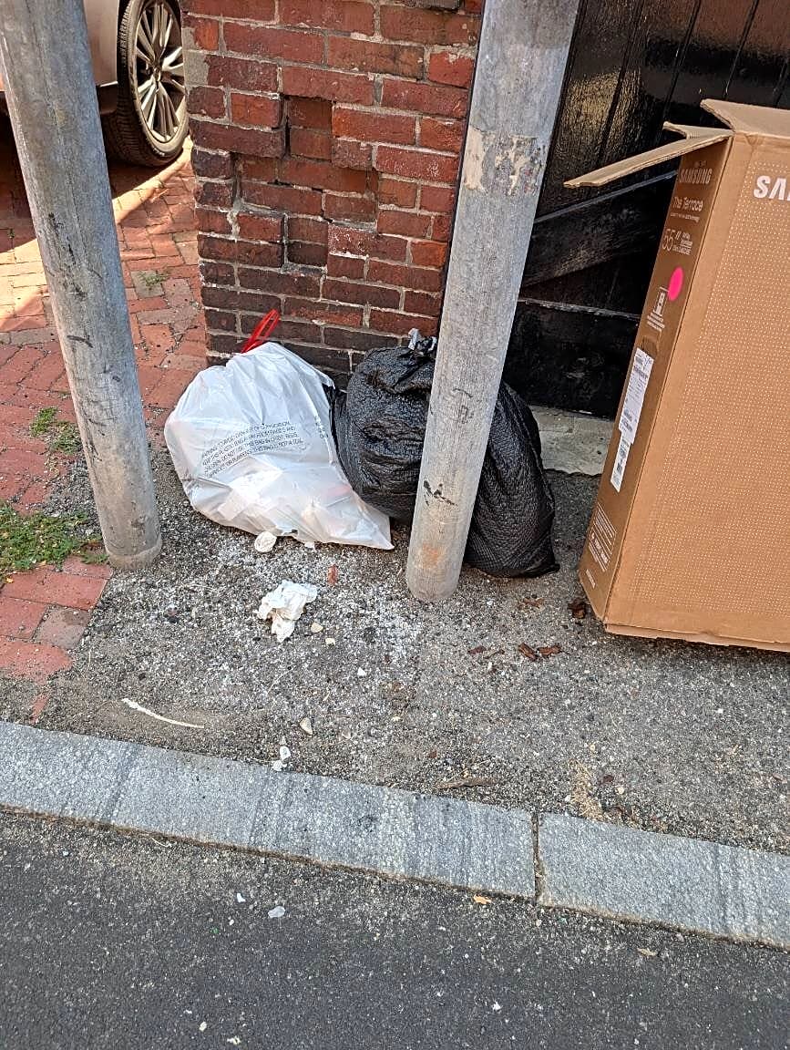 Image submitted with report