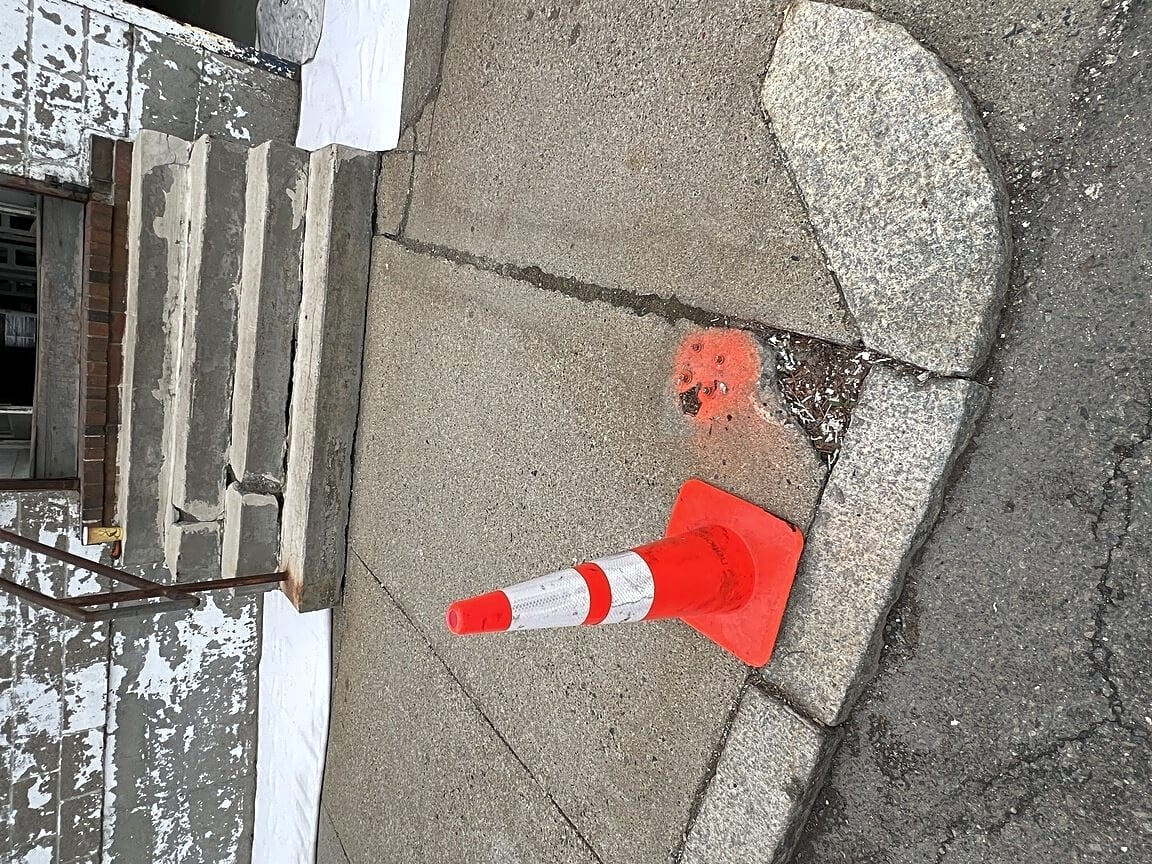 Image submitted with report