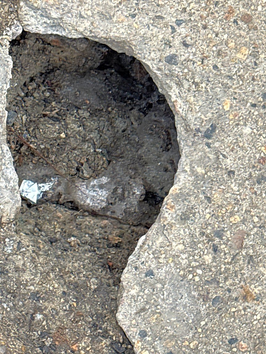 Image submitted with report