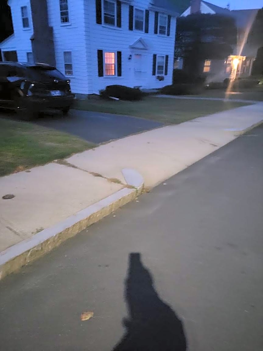 Image submitted with report