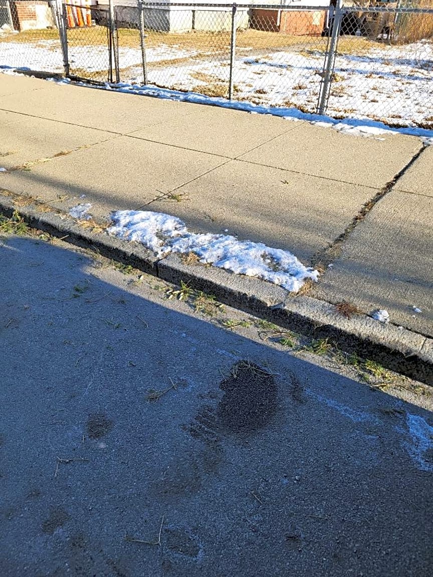 Image submitted with report