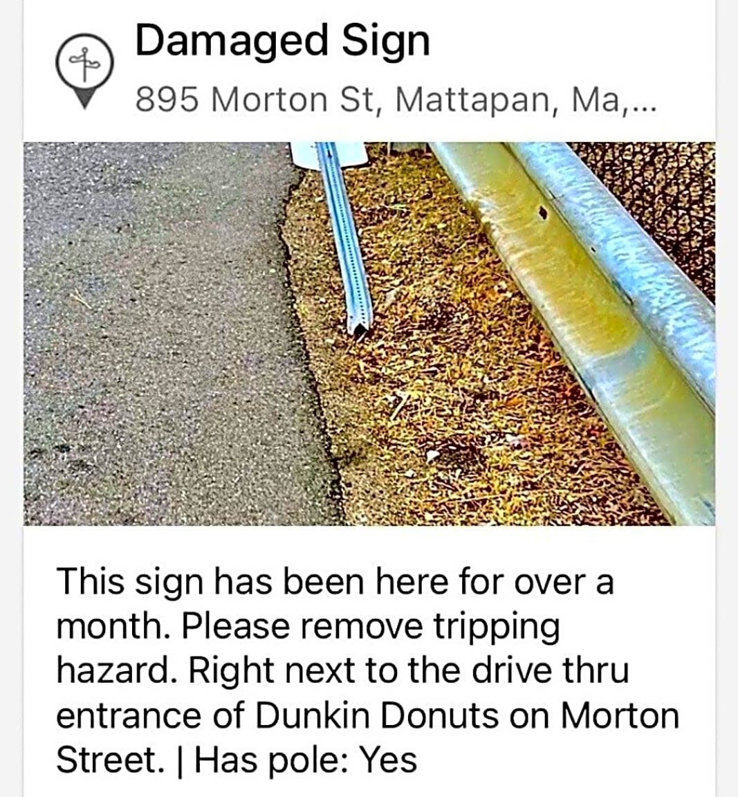 Image submitted with report