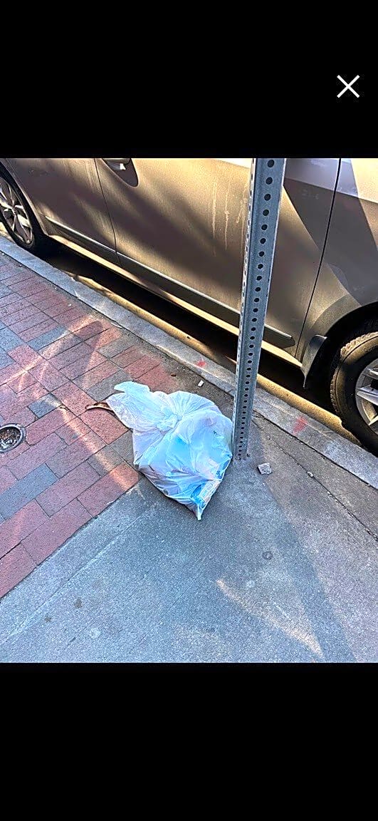 Image submitted with report