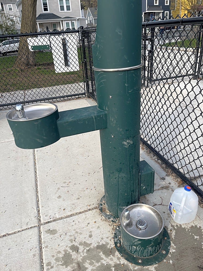 Image submitted with report