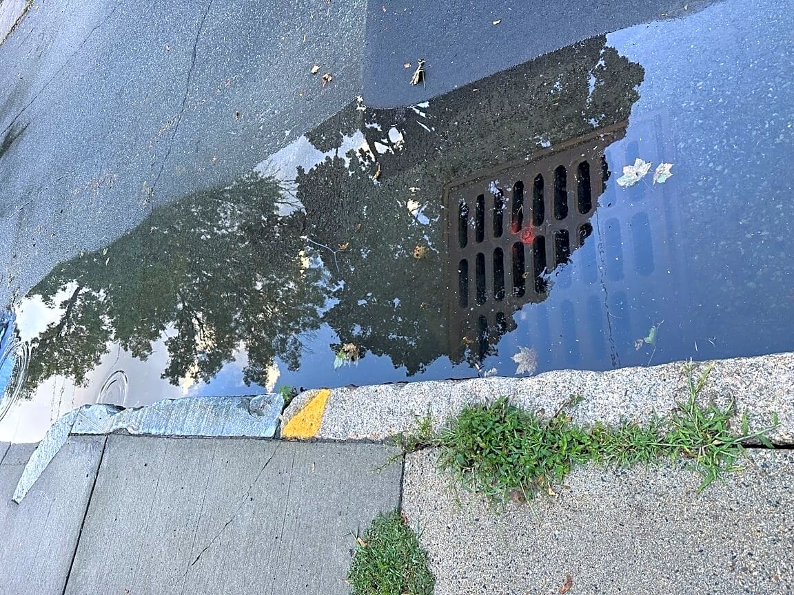 Image submitted with report