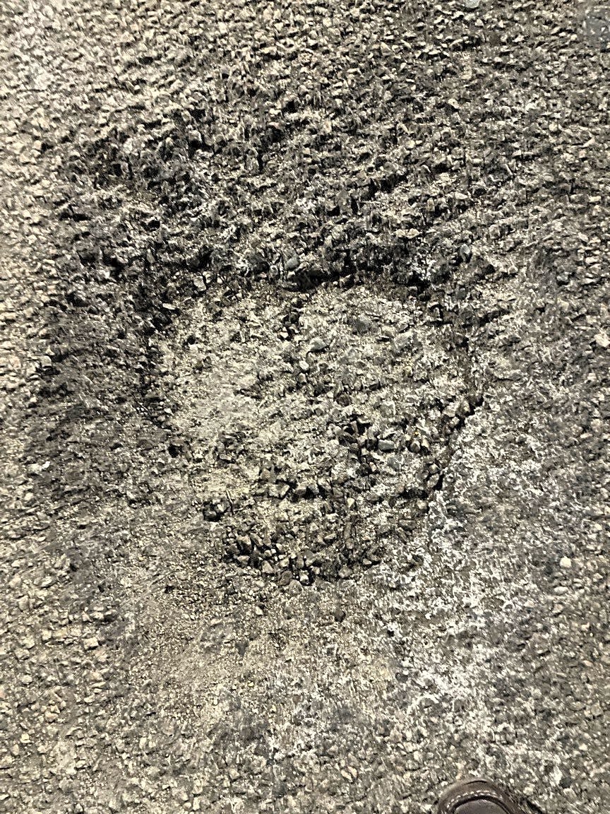 Image submitted with report