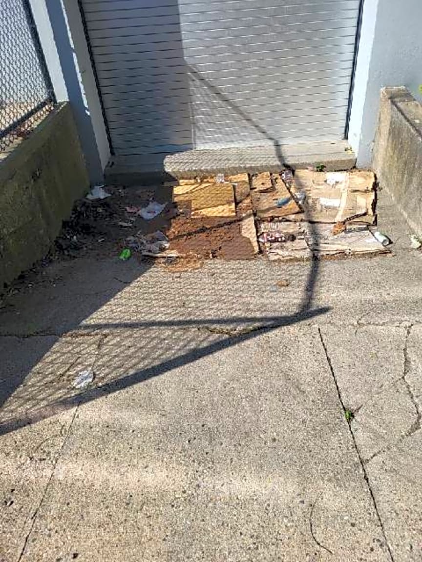 Image submitted with report