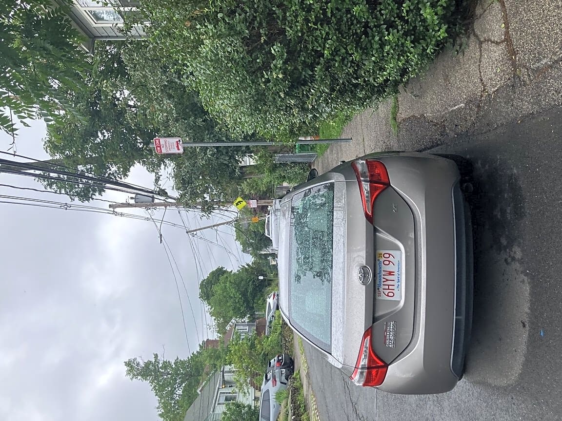 Image submitted with report