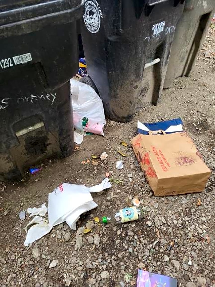 Image submitted with report