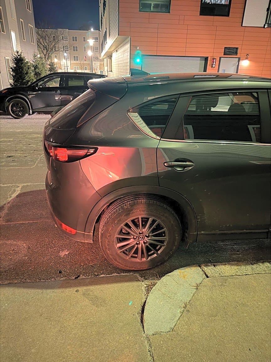 Image submitted with report