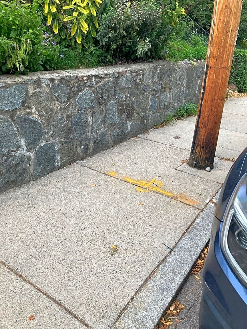 Image submitted with report