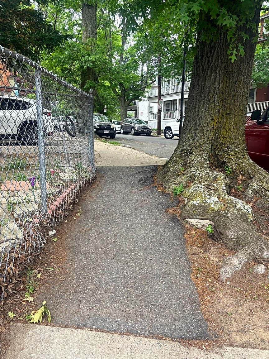 Image submitted with report
