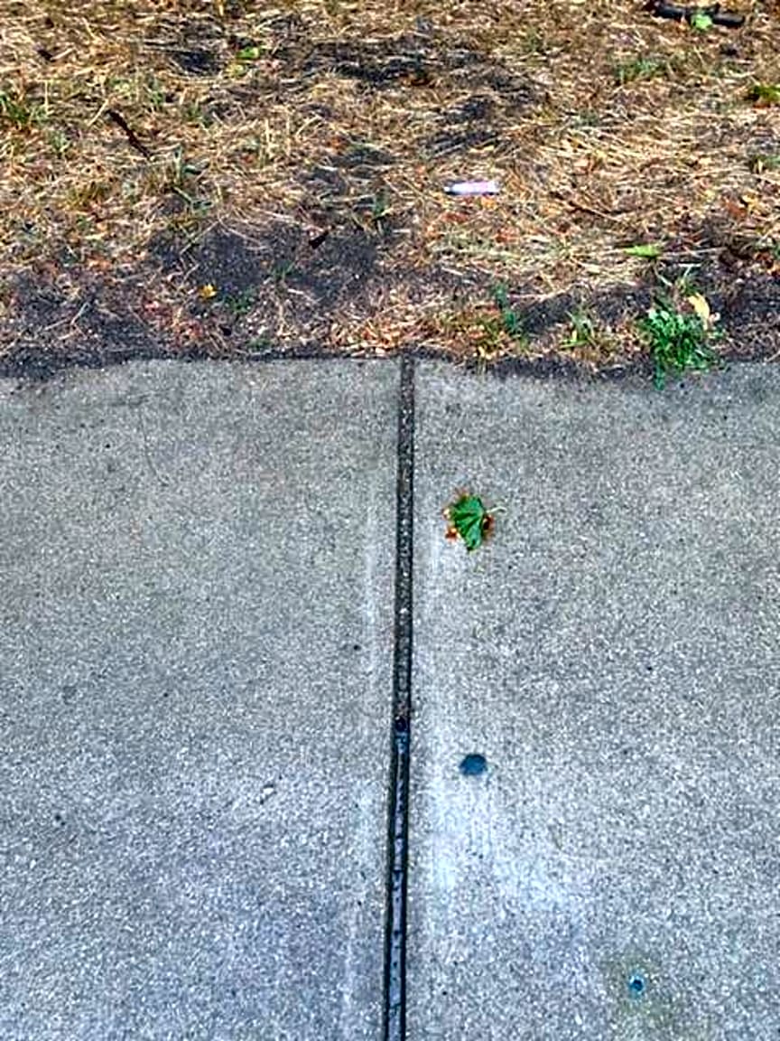 Image submitted with report