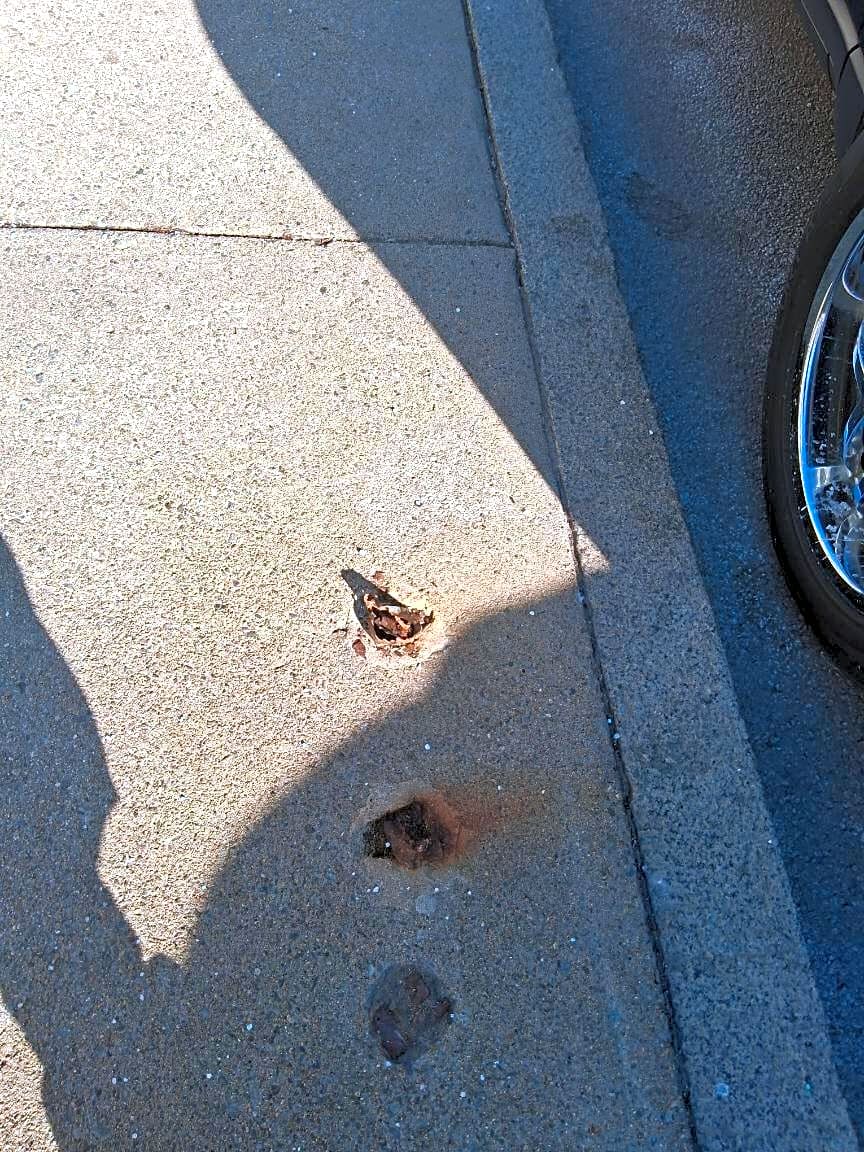 Image submitted with report