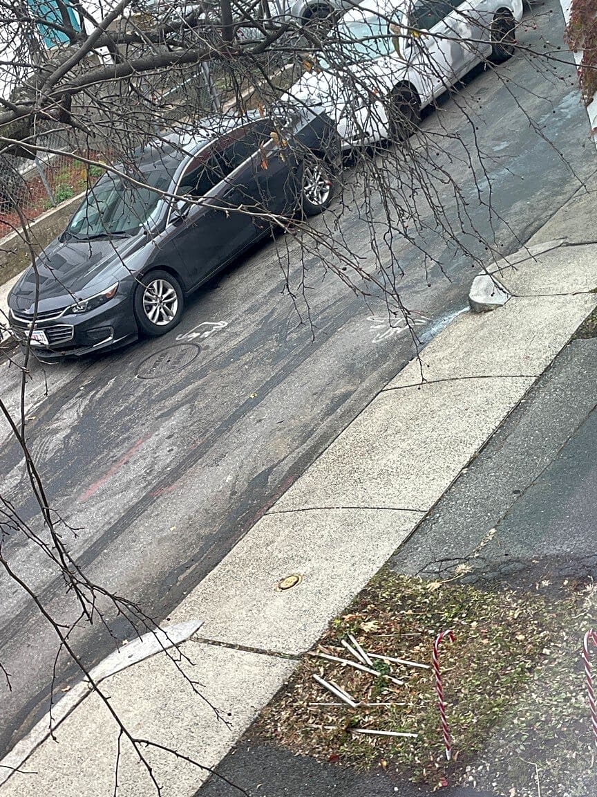 Image submitted with report