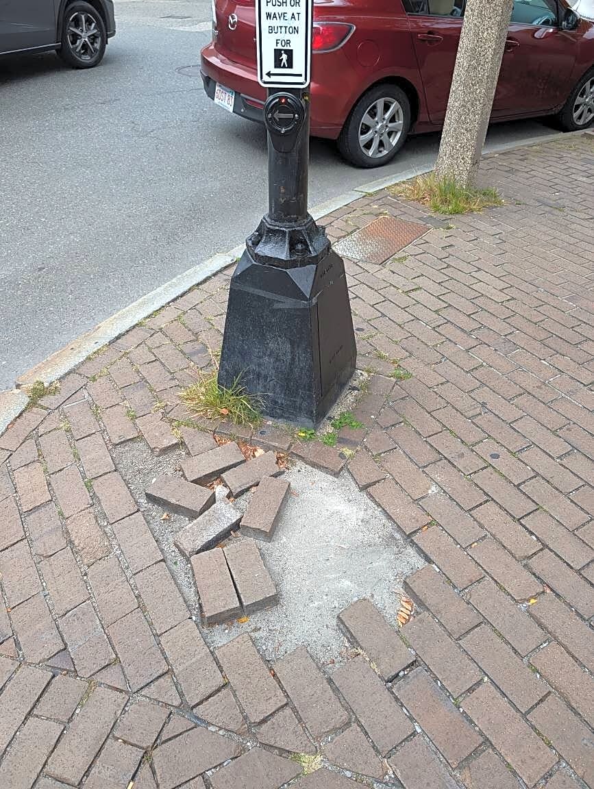Image submitted with report