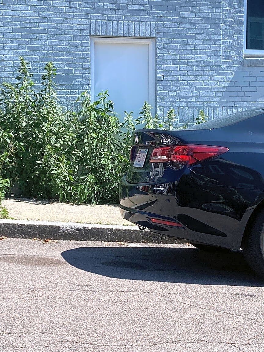 Image submitted with report
