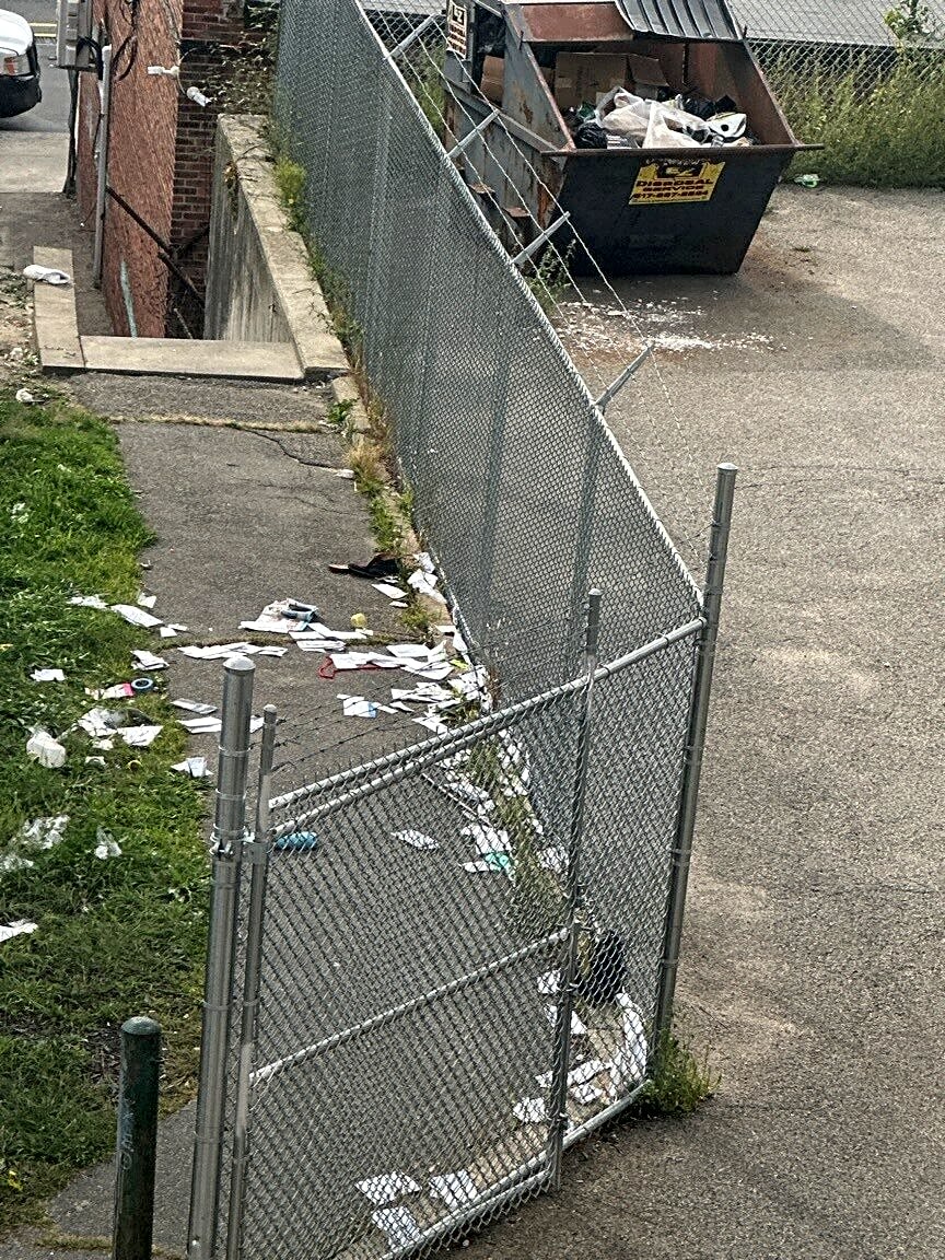 Image submitted with report
